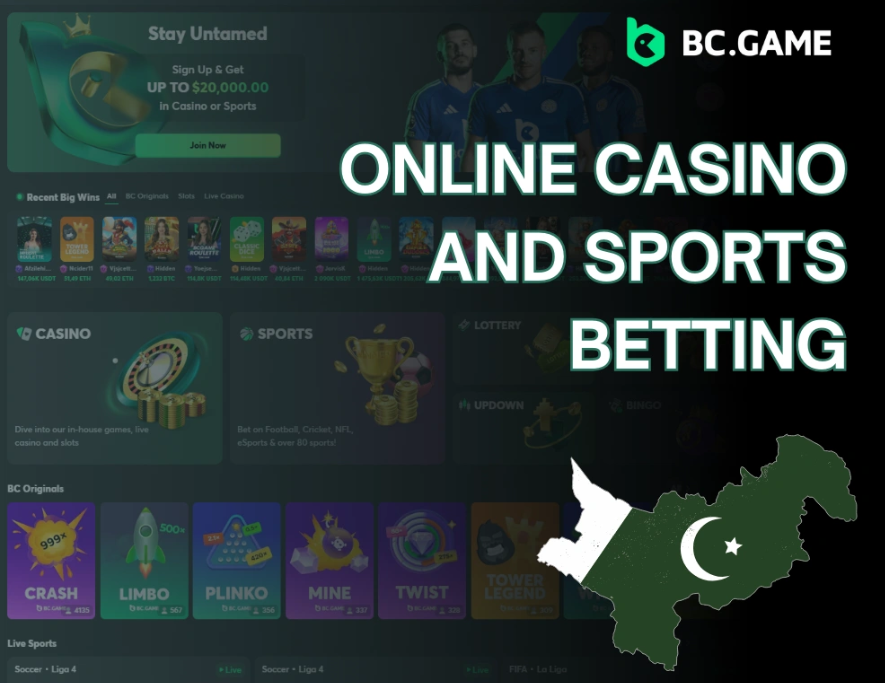 Unveiling the Features of Bc.Game Platform for Online Gaming Enthusiasts