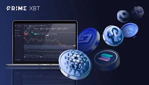 Unlocking Potential Copy Trading on PrimeXBT