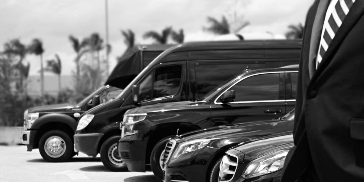 Comprehensive Limousine Service Directory Your Guide to Luxurious Transport