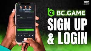 Explore the Exciting World of BC Game Crypto Casino 2