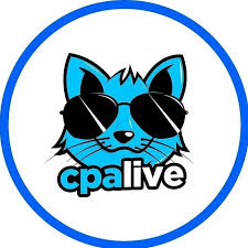 Как заработать на партнерских программах мир cpa.live Как заработать на партнерских программах мир cpa.live